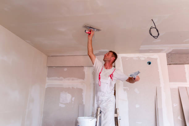 Best Drywall for New Construction  in Elkhorn City, KY